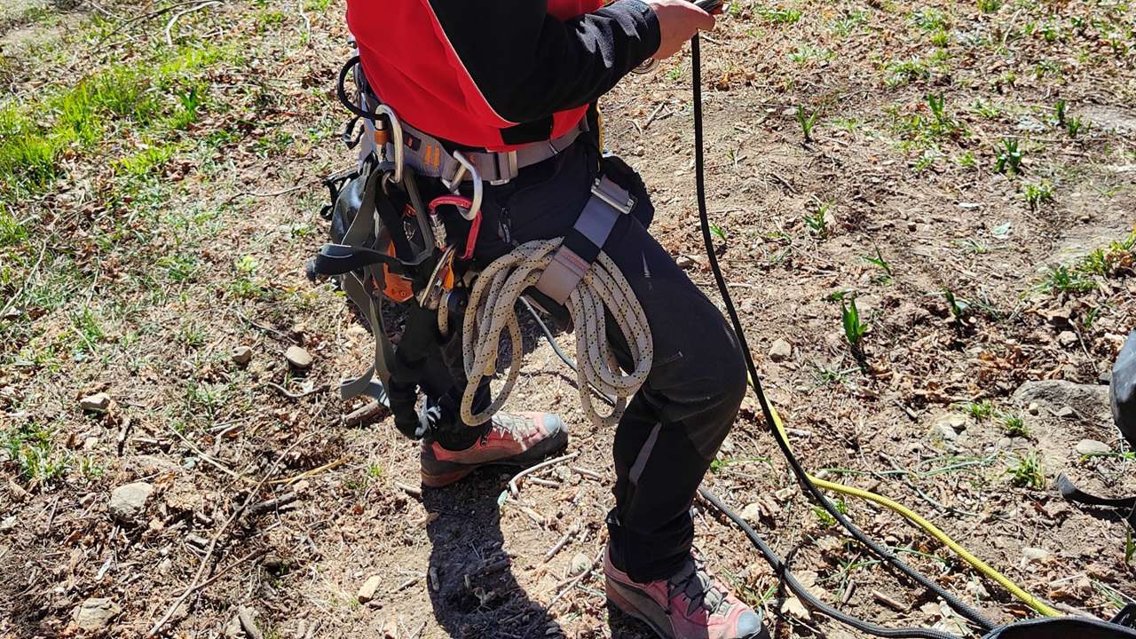 Tree climbing | AT Funi Tree climbing