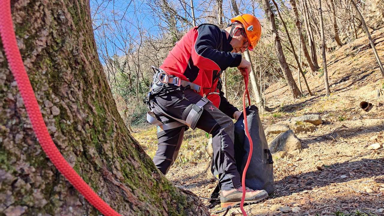 Tree climbing | AT Funi Tree climbing